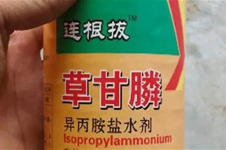 ﻿用草甘膦防治烤烟田块杂草