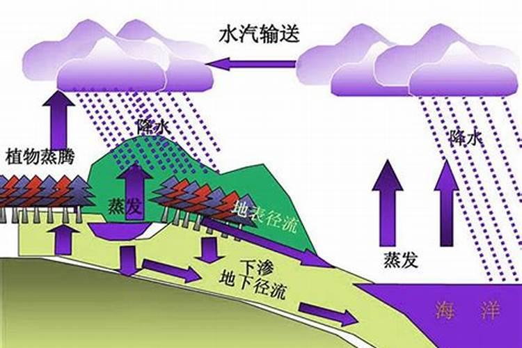 复合肥能泡水浇花吗,和直接放哪个好