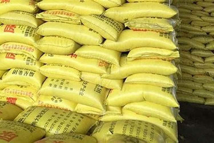 栗味南瓜高产栽培