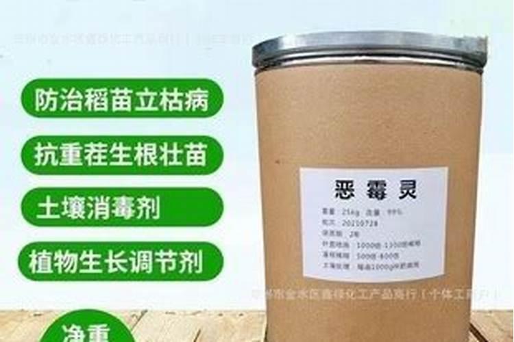 辣椒被水淹后怎么处理才不死苗