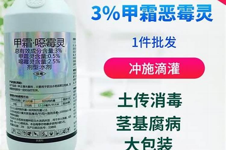 种植辣椒幼苗中出现了小老苗,都有哪些应对措施？