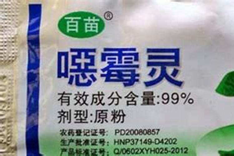黄叶病的防治方法有哪些