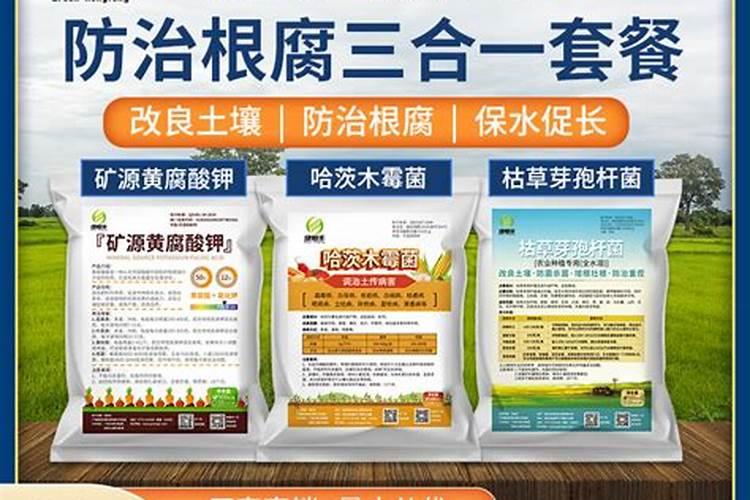 生产中硼硅玻璃上市公司
