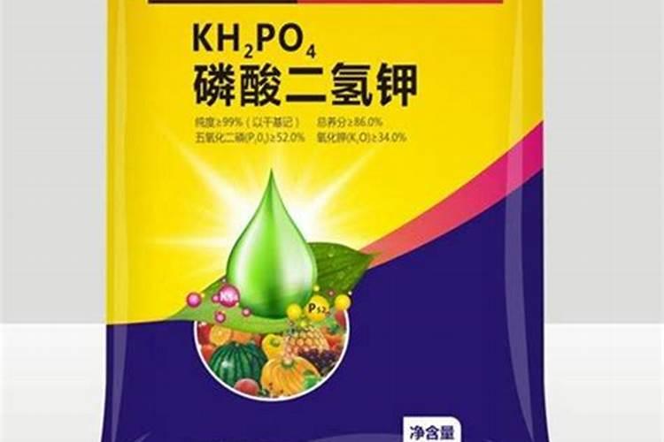 磷肥能促进幼苗生长吗