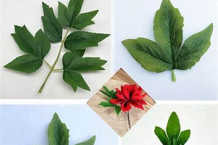 牡丹花小苗施肥方法
