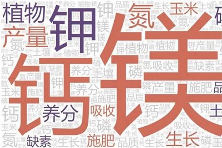 黄泥地适合种植什么经济果木