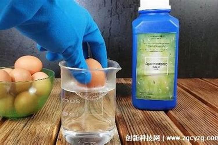 蓝莓施肥的最佳时间是什么时候