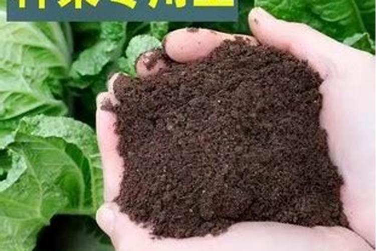蔬菜用什么肥料好