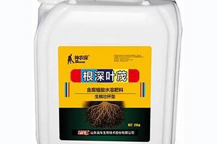 芸豆红根该怎样解决