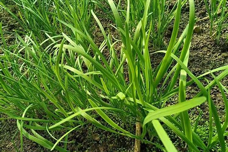 《和平精英》沙漠哪里人少物资肥 沙漠物资点介绍