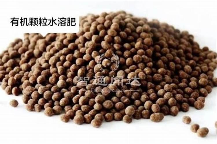 催花的话,选择哪种肥料是最好的
