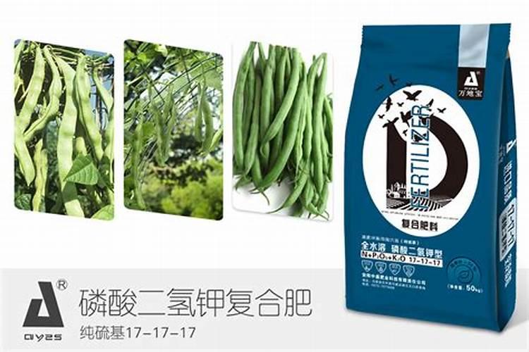 果树形成花蕾后,适量施加哪种肥有助于开花结果