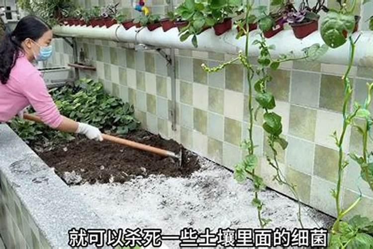 生石灰的正确使用方法