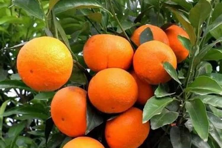 有人知道花生怎么施肥吗,还有用什么肥料好一点？