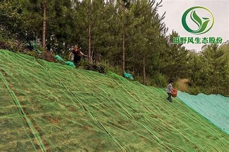 葡萄糖和氢氧化铜反应方程式 葡萄糖和氢氧化铜反应方程式现象