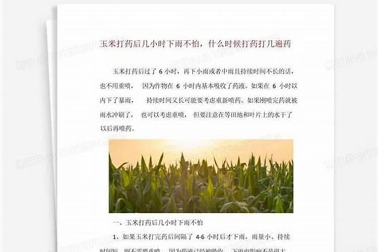 玉米控旺剂能和杀虫剂一起用吗