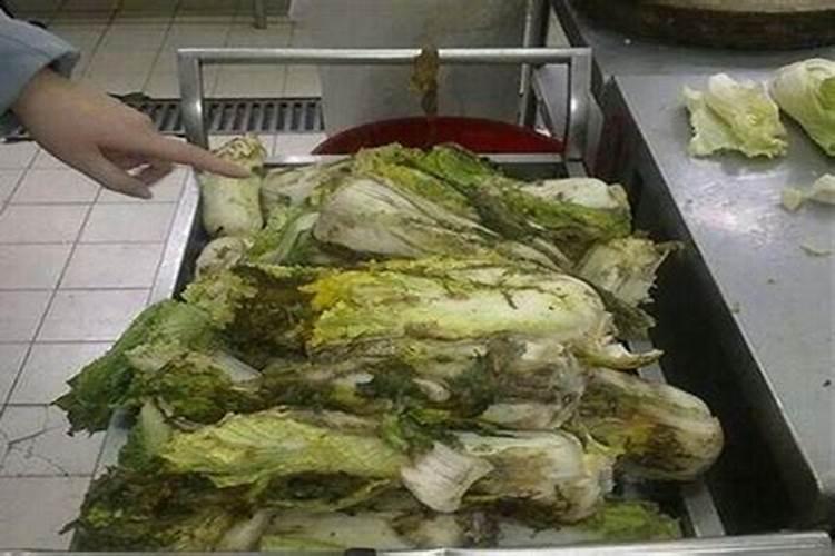菜叶怎么做肥料