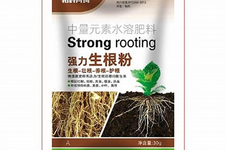 无机盐是什么,与有机物,无机物的区别与联系？