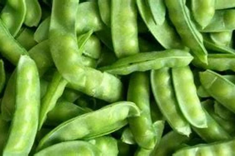 青毛豆壳可以做花肥吗