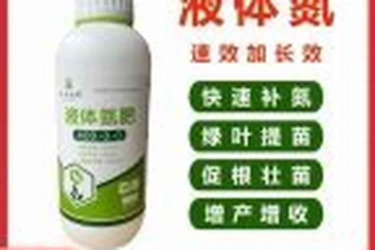 罗汉松几天浇一次水最好