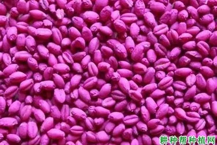 菜地常用的氮化肥有哪几种？各有什么特性？