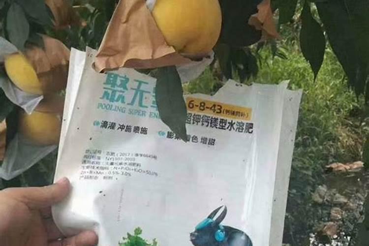 果树使用什么肥料方可使果子变得又大又甜？
