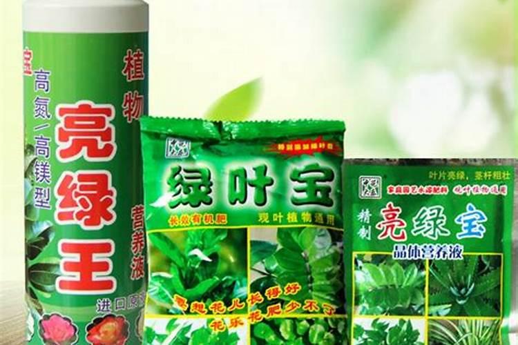啤酒可以浇菜吗