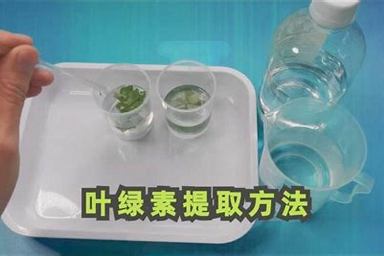 叶绿素叶面肥的作用与功效