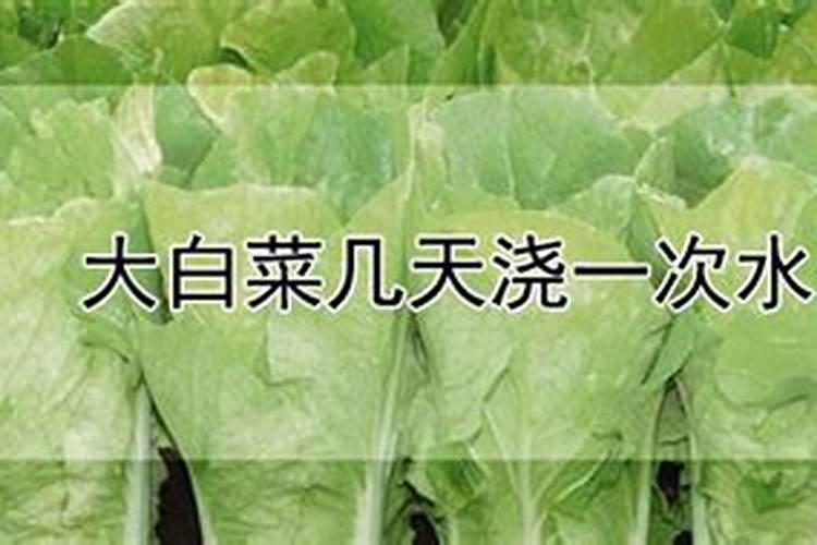 化生政最吃香的专业