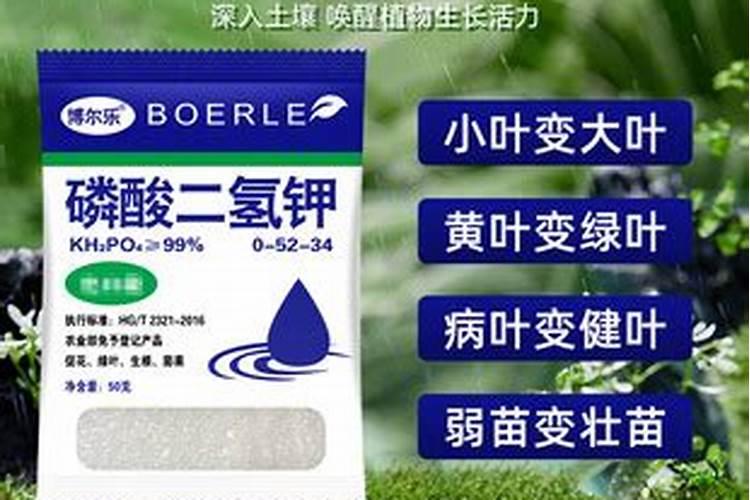 催花的话,选择哪种肥料是最好的