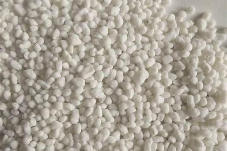 黄豆开花期需要施什么肥 什么时候施肥能高产
