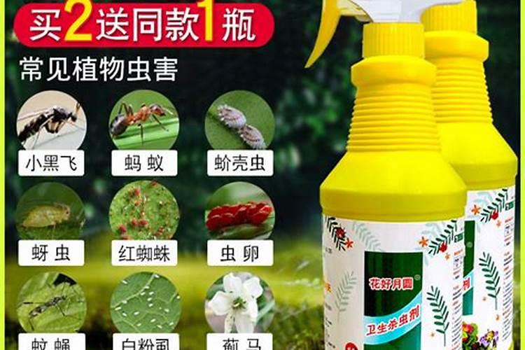 史丹利第四元素大量元素水溶肥应用花卉有什么作用？