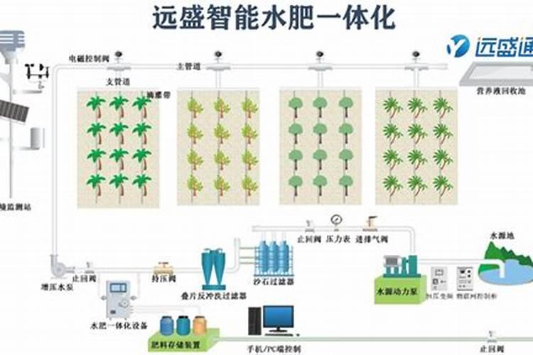 晚毛豆种植时间和技术 注意事项有哪些