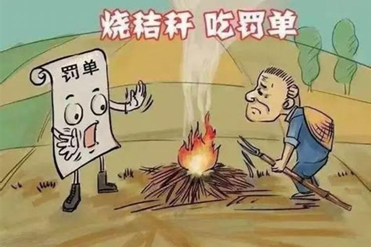 落叶直接埋土里好还是燃后埋土里好？