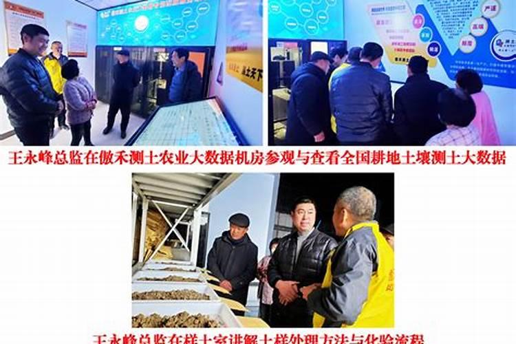 钾肥的正确使用方法 合理施用钾肥需要注意什么