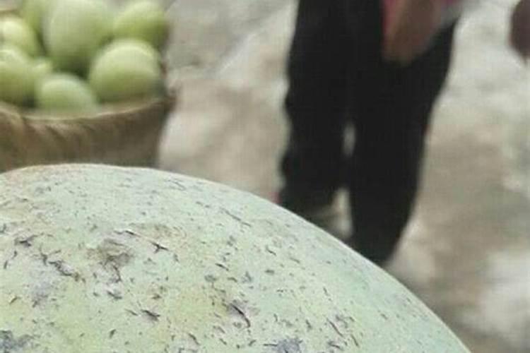 芒果黑心果看外形怎么区分？