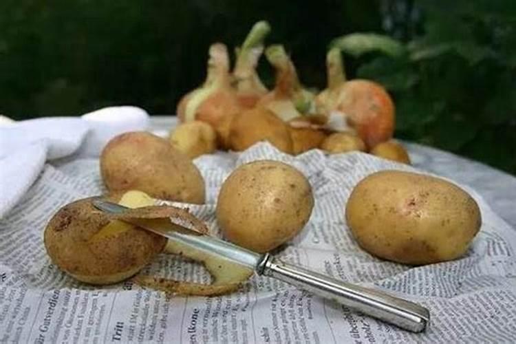 土豆皮可以做肥料吗
