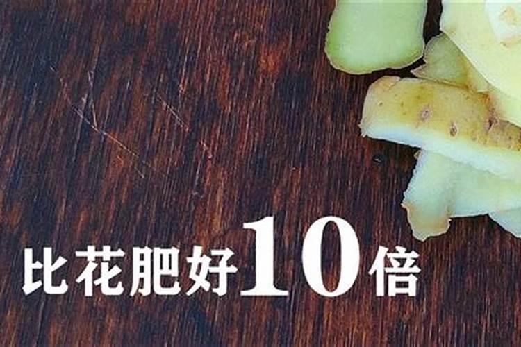 土豆皮如何做成肥料？