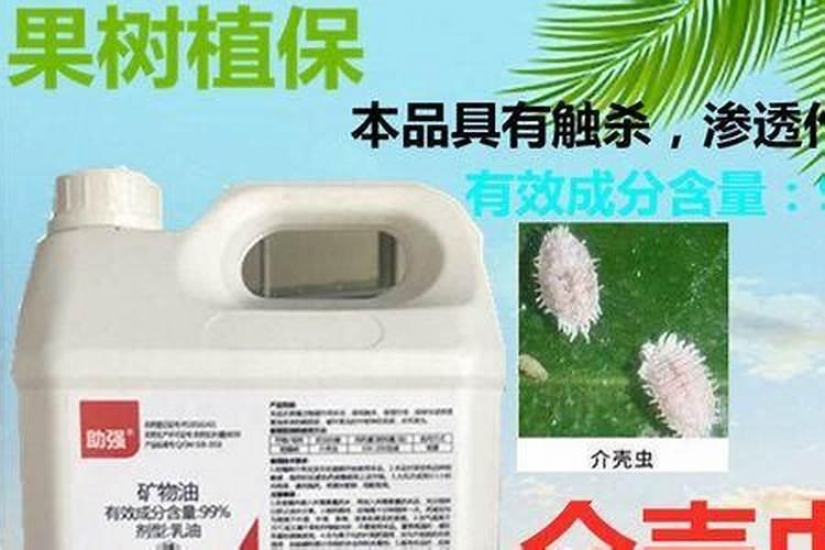 成熟的柿子里面出现了很多白色的小虫子,该怎么办？