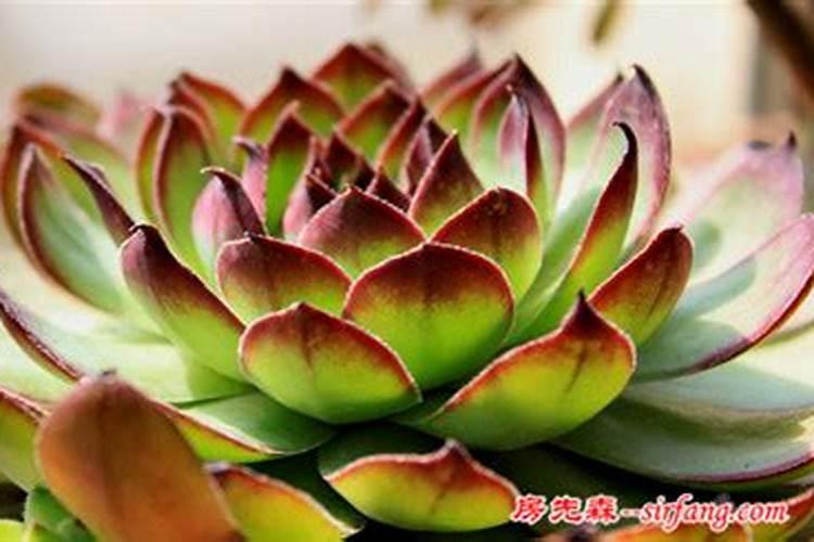 含氮量最高的氮肥是什么 氮肥是怎么生产出来的