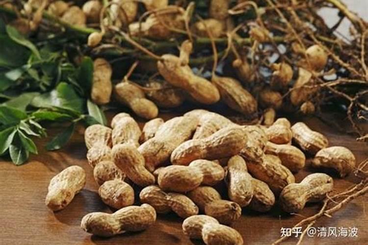 花生米做肥料的方法