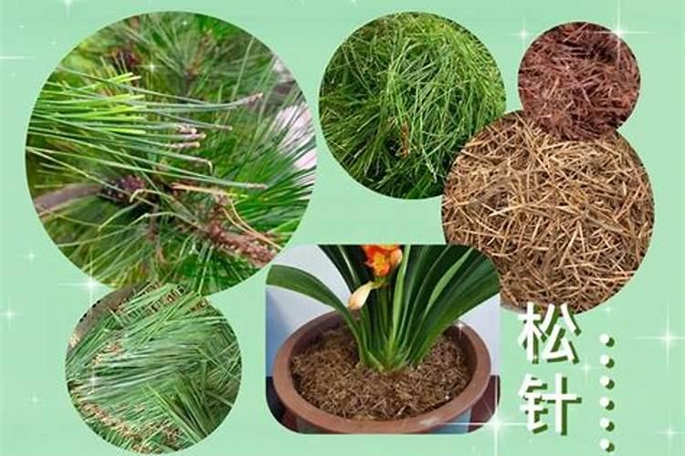 植物生长调节剂中,胺鲜酯,赤霉素,芸苔素内酯有啥区别