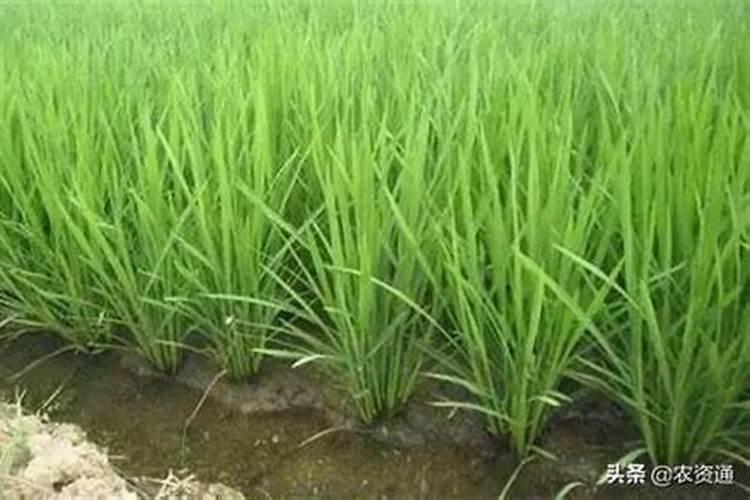农村征地补偿标准是多少钱一亩地