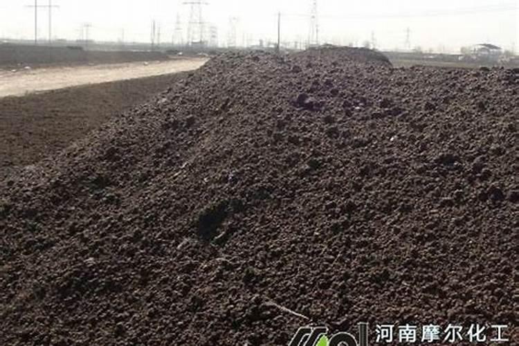 黄豆开花期需要施什么肥 什么时候施肥能高产