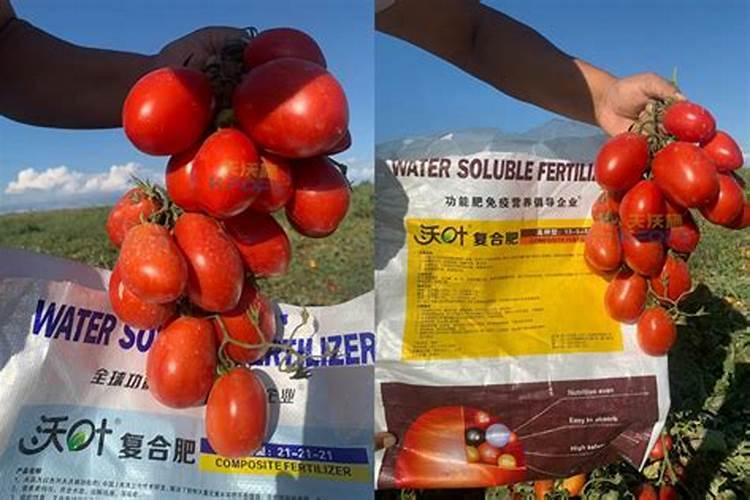 锌肥和硼肥能混合使用吗？