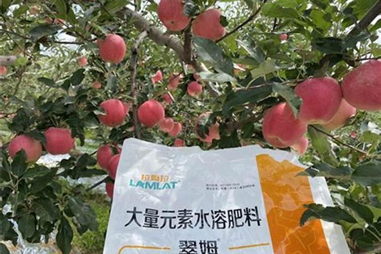 罗汉果施肥过多,造成罗汉果裂果怎么办