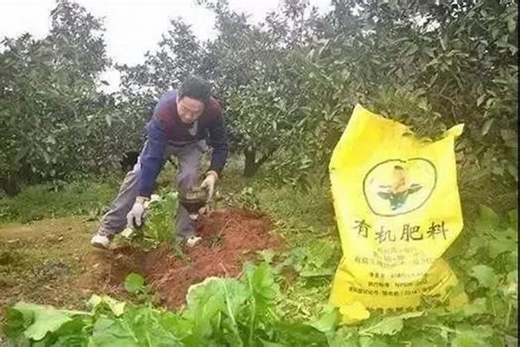 有机肥和无机肥有什么区别？