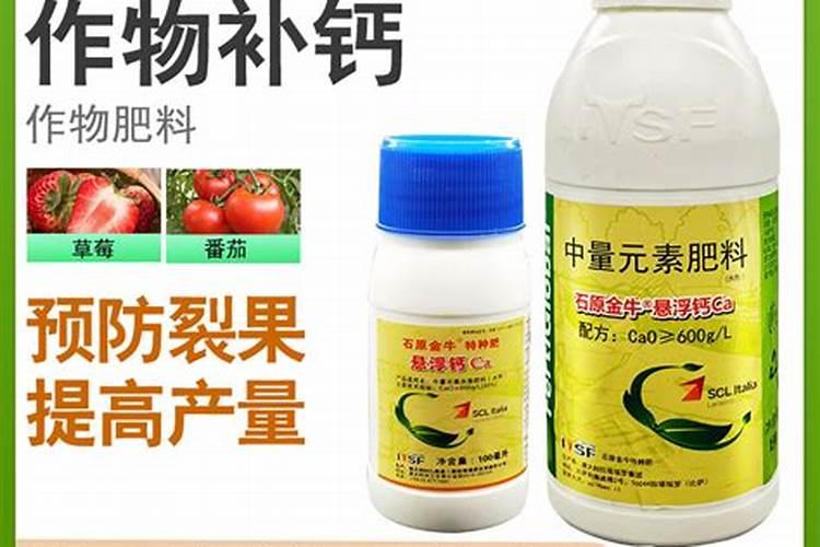 大家好!这几张图中玉米叶是啥病