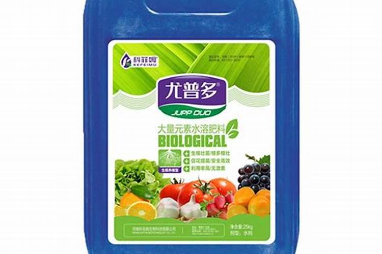 最好的兰花肥专用肥哪种最好