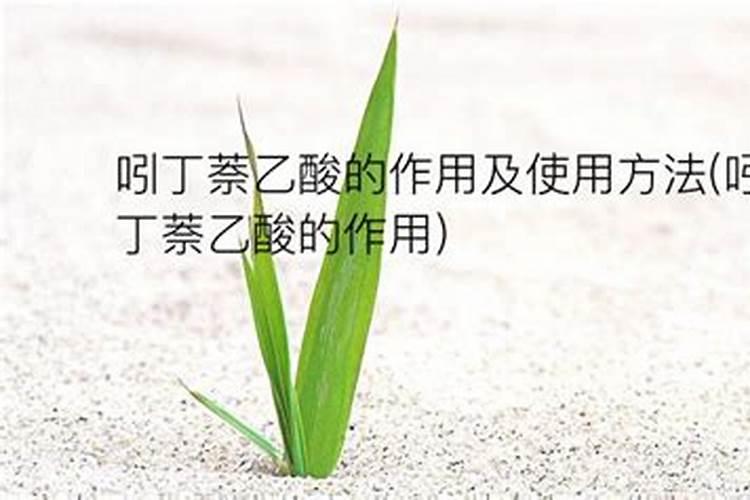 a萘乙酸钠a萘乙酸钠的使用方法